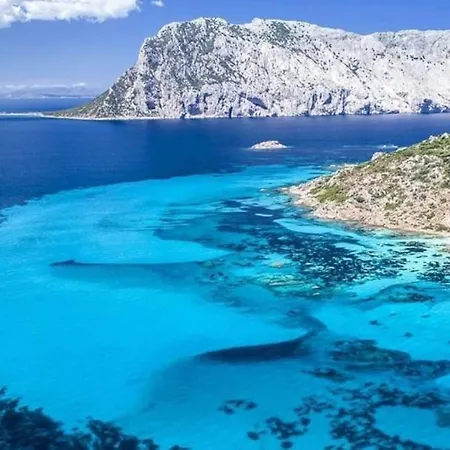 بوتيل One Day Sailing Tour San Teodoro Sardinia بونتالديا