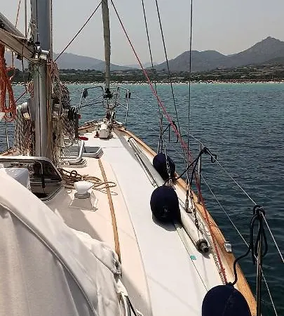 One Day Sailing Tour San Teodoro Sardinia بونتالديا